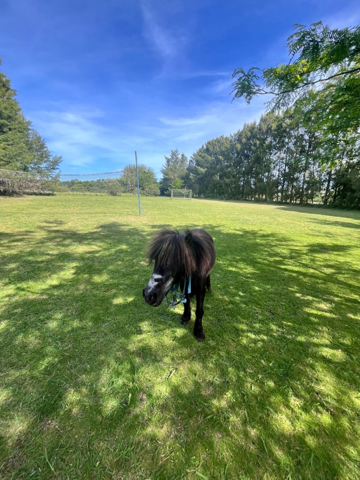 Venta de casa quinta - 2 hectareas en la zona del Coyunco