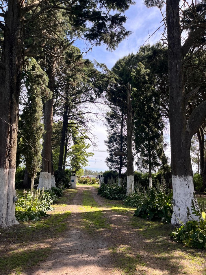 Venta de casa quinta - 2 hectareas en la zona del Coyunco