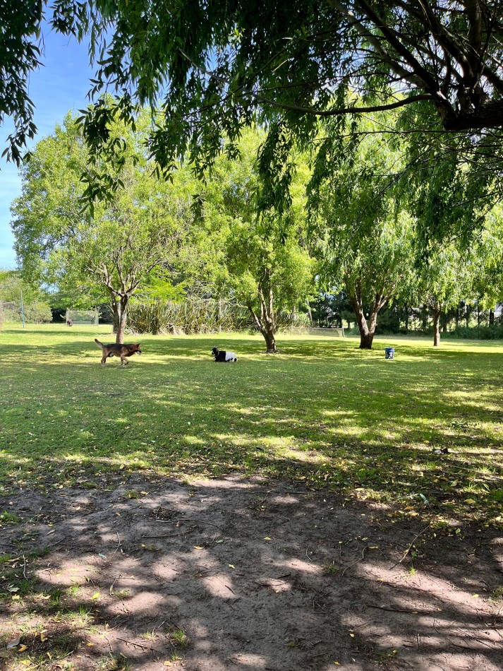 Venta de casa quinta - 2 hectareas en la zona del Coyunco