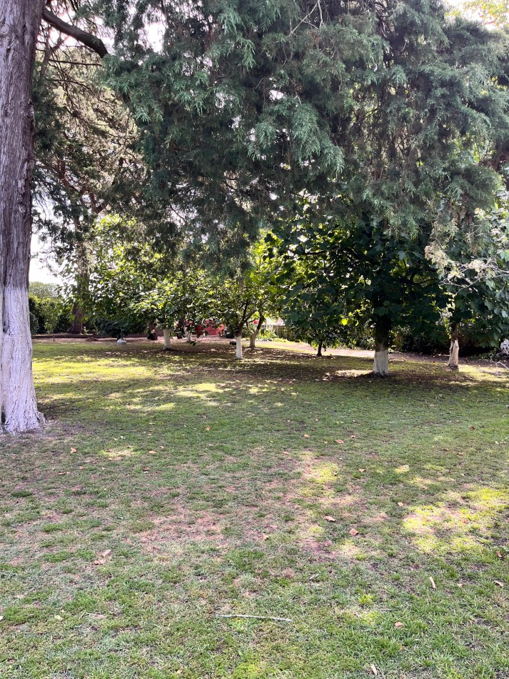 Venta de casa quinta - 2 hectareas en la zona del Coyunco