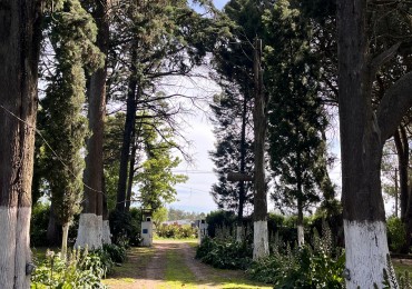 Venta de casa quinta - 2 hectareas en la zona del Coyunco